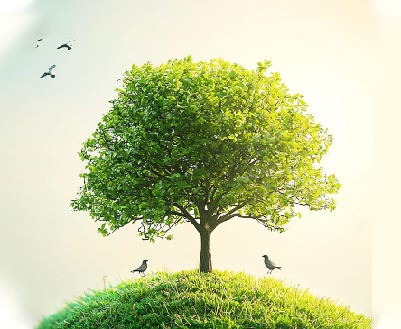 E5 Sustain ESG Solutions